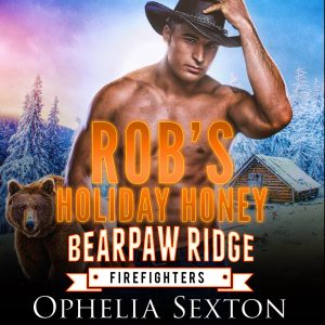 Rob's Holiday Honey audiobook cover art