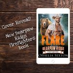 Flare cover art