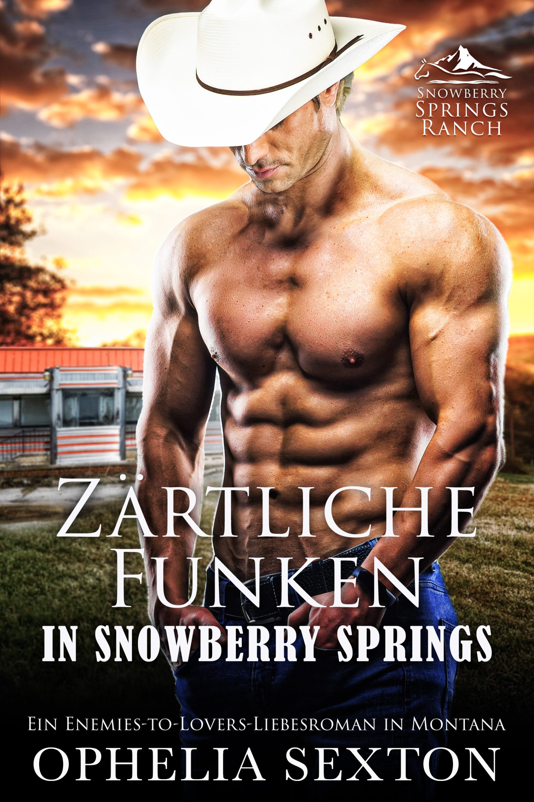 Zärtliche Funken in Snowberry Springs Umschlaggestaltung